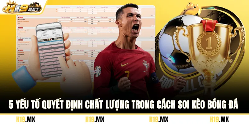 5 yếu tố quyết định chất lượng trong cách soi kèo bóng đá