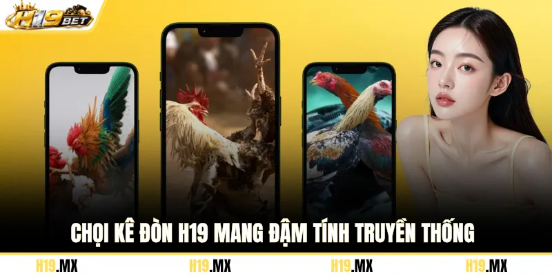 Chọi kê đòn H19 mang đậm tính truyền thống