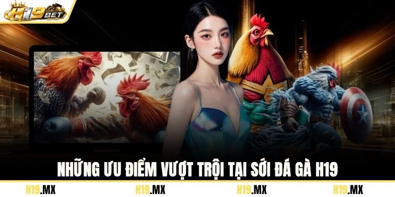 Những ưu điểm vượt trội tại sới đá gà H19