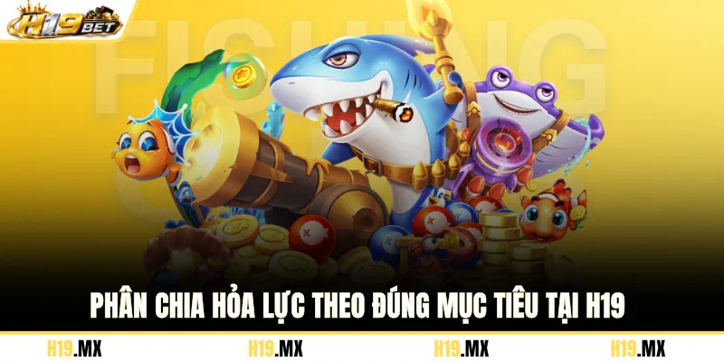 Phân chia hỏa lực theo đúng mục tiêu tại H19
